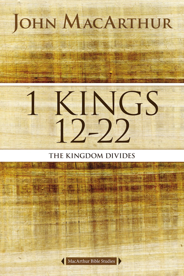 Cover image for 1 Kings 12 To 22: The Kingdom Divides, isbn: 9780718034733