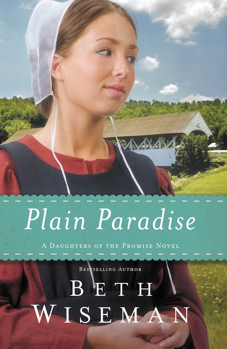 Cover image for Plain Paradise, isbn: 9780718036386