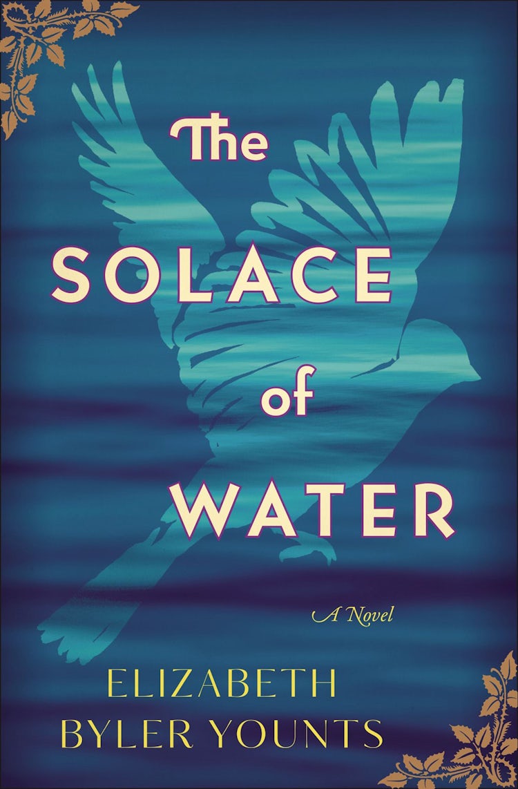 Cover image for The Solace Of Water: A Novel, isbn: 9780718075668