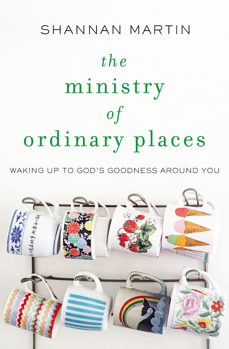 Cover image for The Ministry Of Ordinary Places: Waking Up To God's Goodness Around You, isbn: 9780718077488