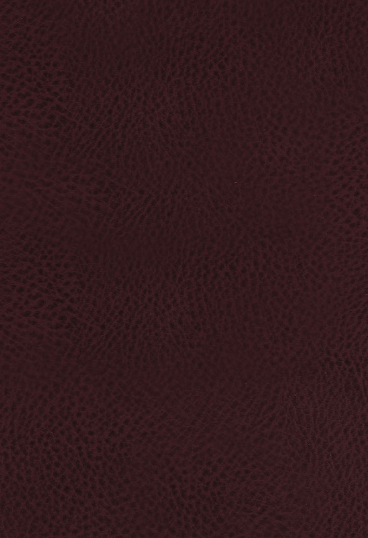Cover image for The King James Study Bible, Full-Color Edition [Burgundy], isbn: 9780718079796
