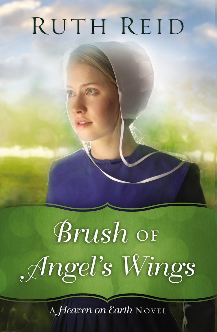 Cover image for Brush Of Angel's Wings, isbn: 9780718084271