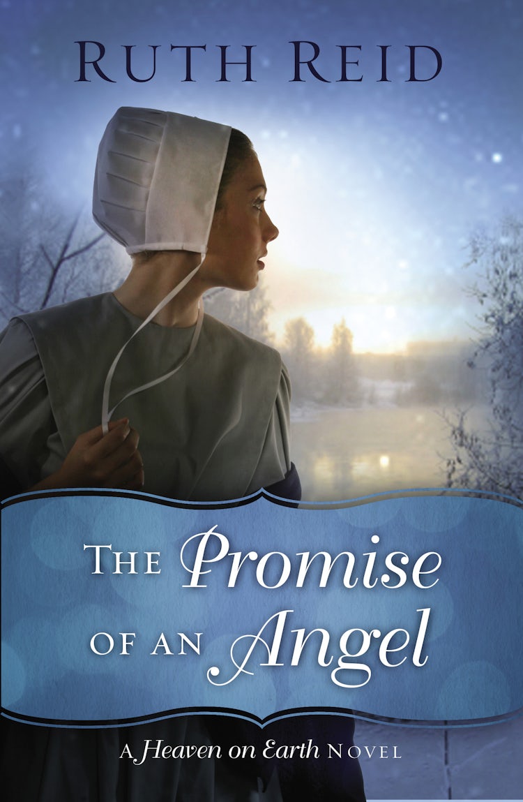 Cover image for The Promise Of An Angel, isbn: 9780718084776