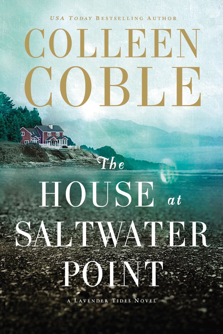 Cover image for The House at Saltwater Point, isbn: 9780718085803
