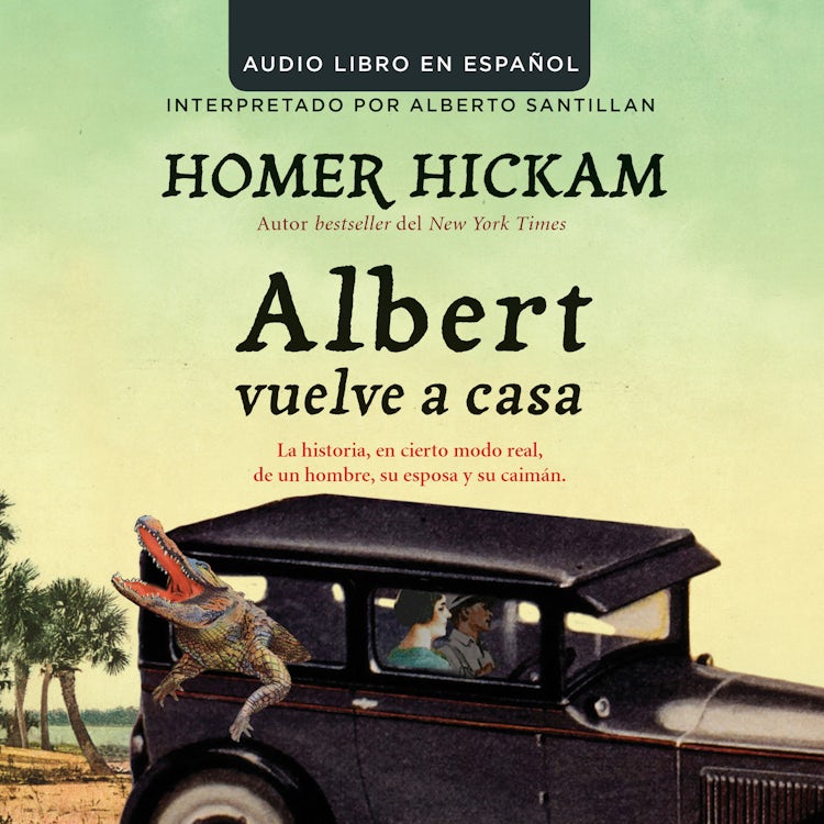 Cover image for Albert vuelve a casa, isbn: 9780718090067