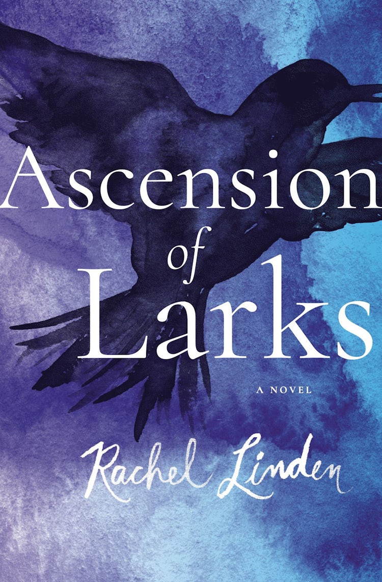 Cover image for Ascension Of Larks, isbn: 9780718095734
