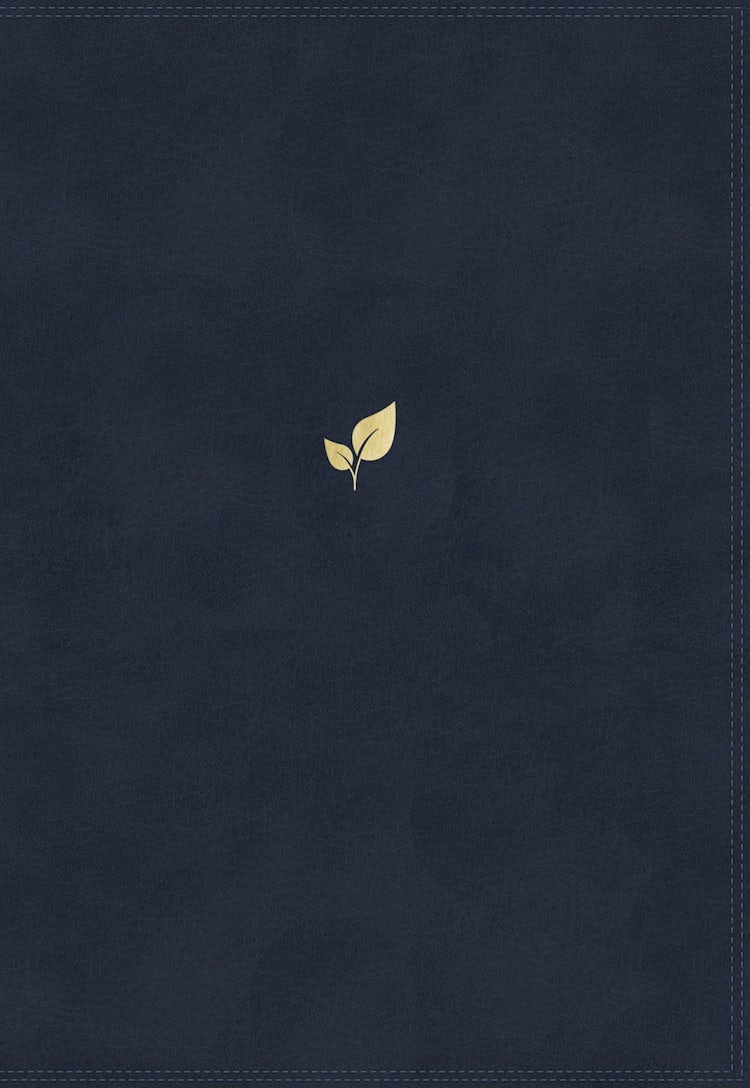 Cover image for NIV Lucado Encouraging Word Bible [Blue], isbn: 9780718099312