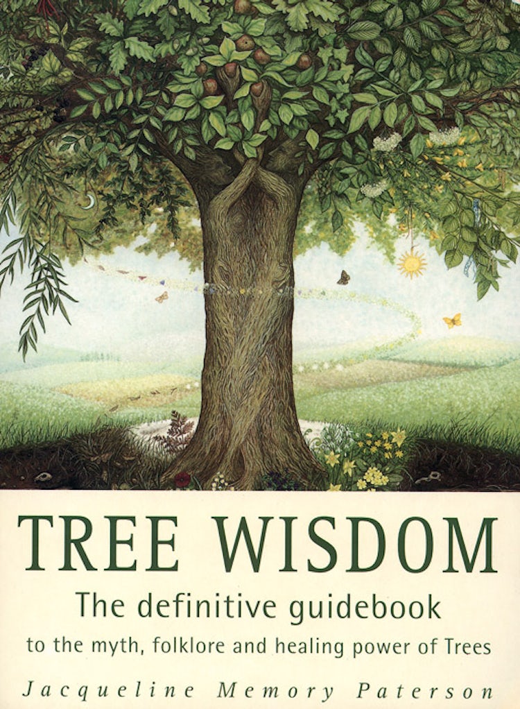 Cover image for Tree Wisdom, isbn: 9780722534083