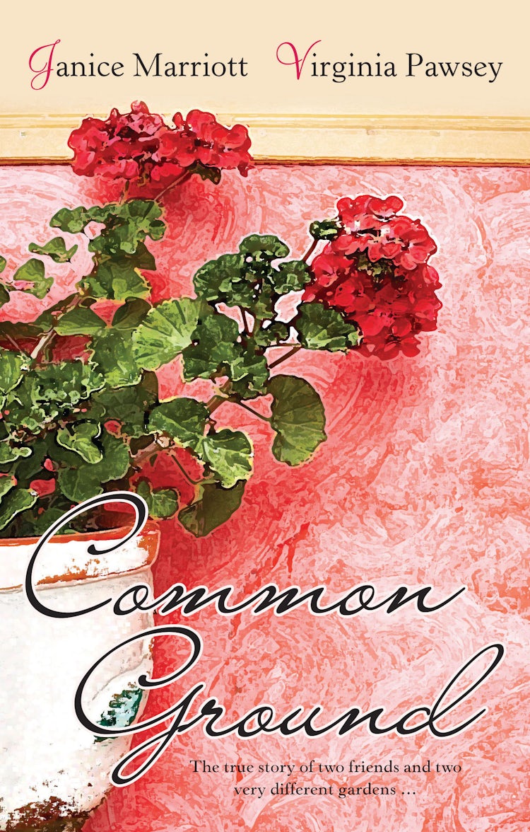 Cover image for Common Ground, isbn: 9780730491729