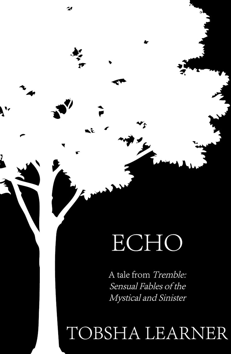 Cover image for Echo: A short story, isbn: 9780730494669