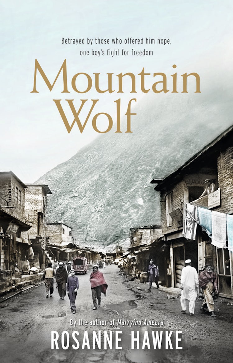 Cover image for Black Mountain, isbn: 9780730496540