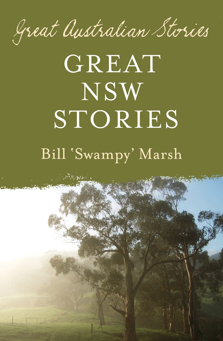 Cover image for Great NSW Stories, isbn: 9780730498650