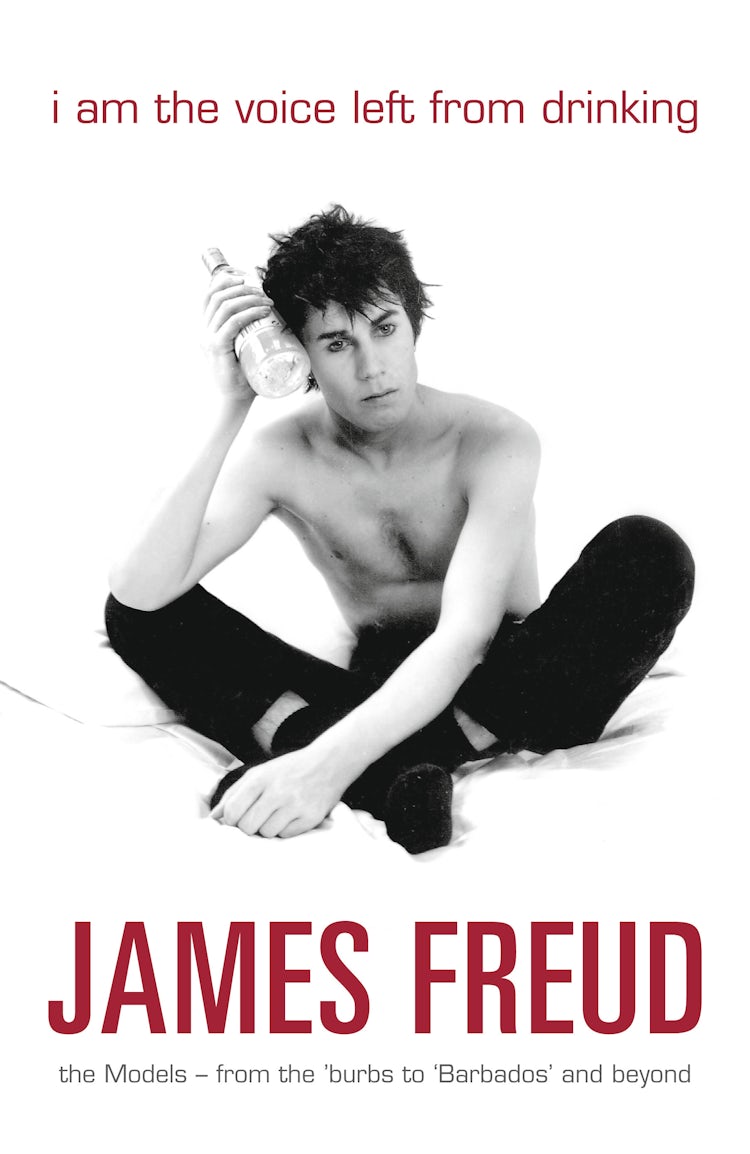 Cover image for I Am the Voice Left from Drinking, isbn: 9780732274405