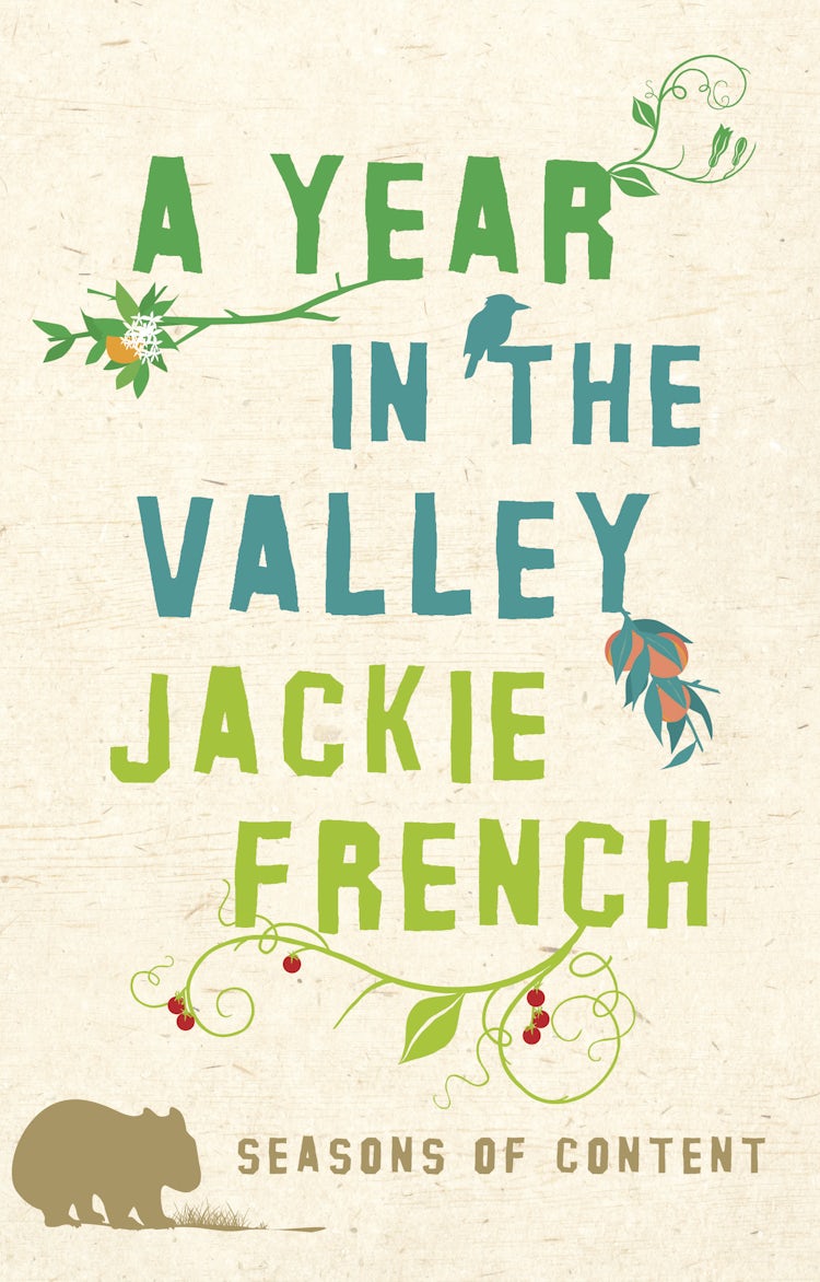 Cover image for Year in the Valley, isbn: 9780732290641