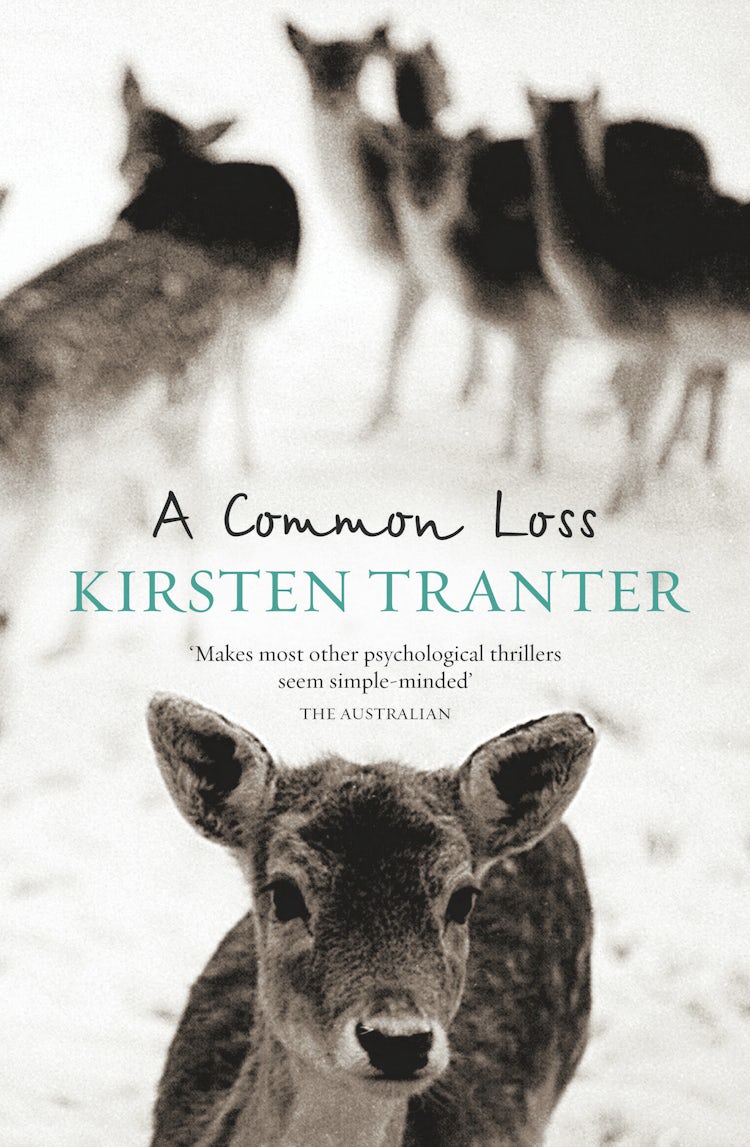 Cover image for A Common Loss, isbn: 9780732290832