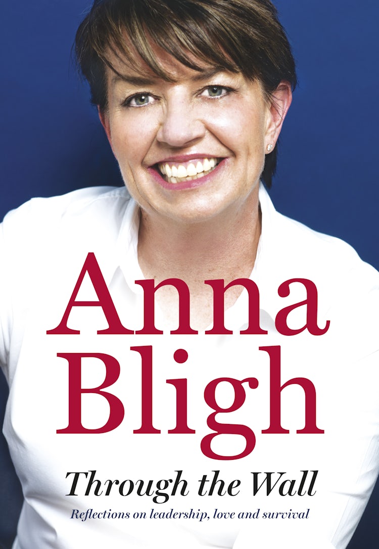 Cover image for Through the Wall, isbn: 9780732299538