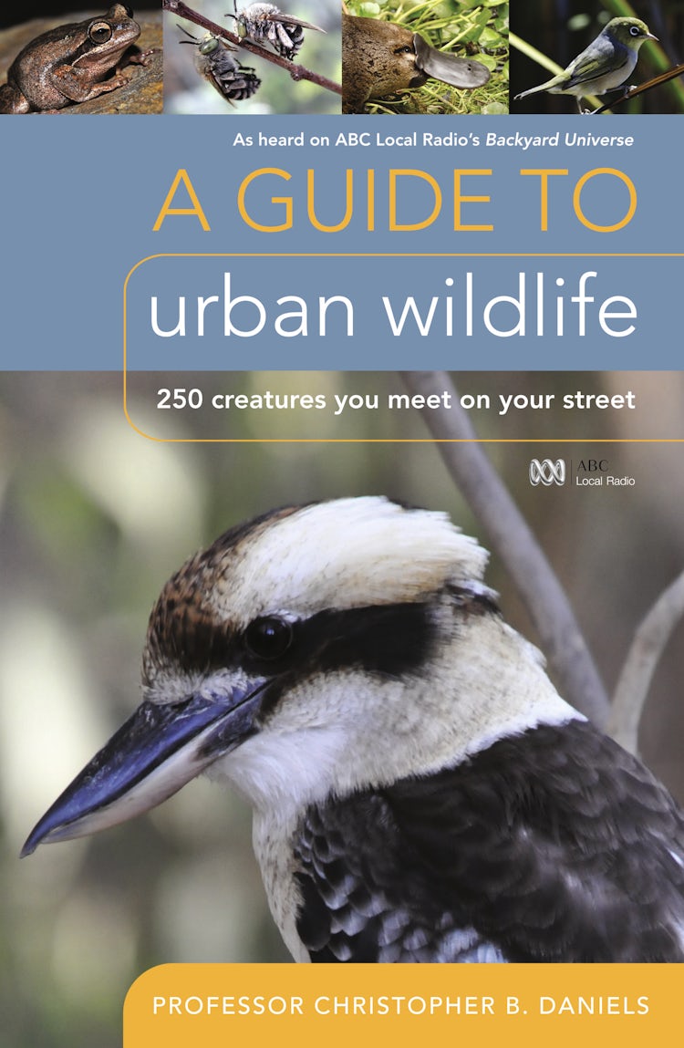 Cover image for A Guide to Urban Wildlife, isbn: 9780733328039
