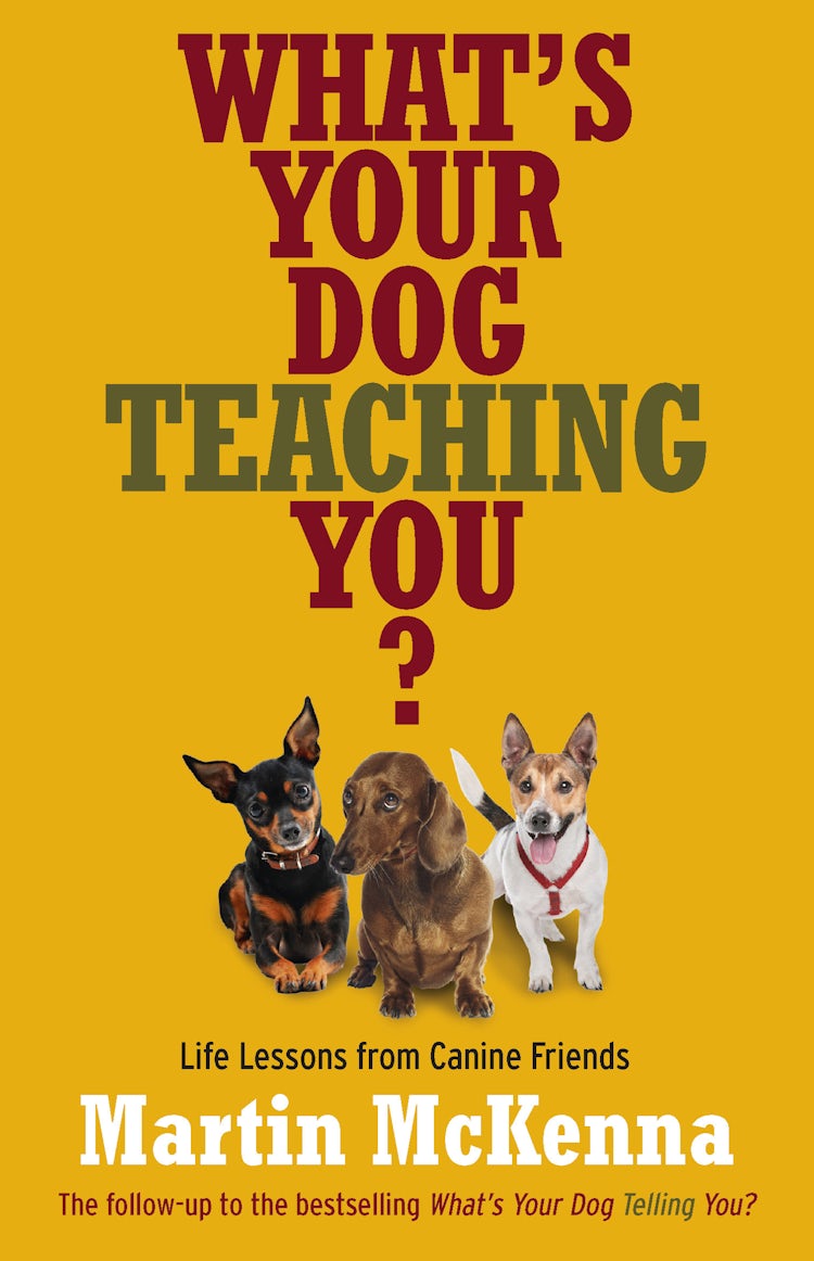 Cover image for What's Your Dog Teaching You?, isbn: 9780733331671