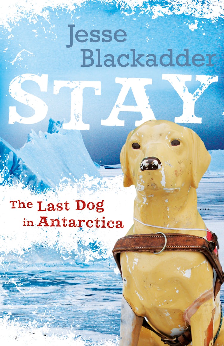 Cover image for Stay, isbn: 9780733331770