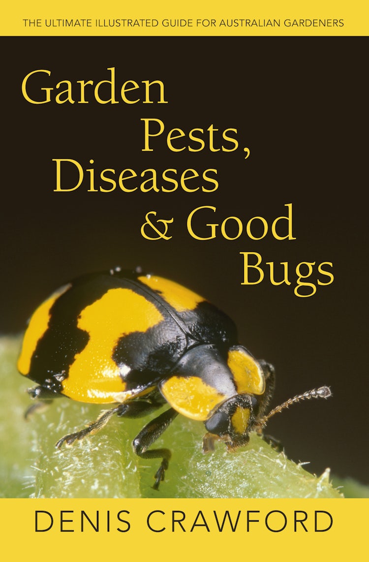 Cover image for Garden Pests, Diseases & Good Bugs, isbn: 9780733331886