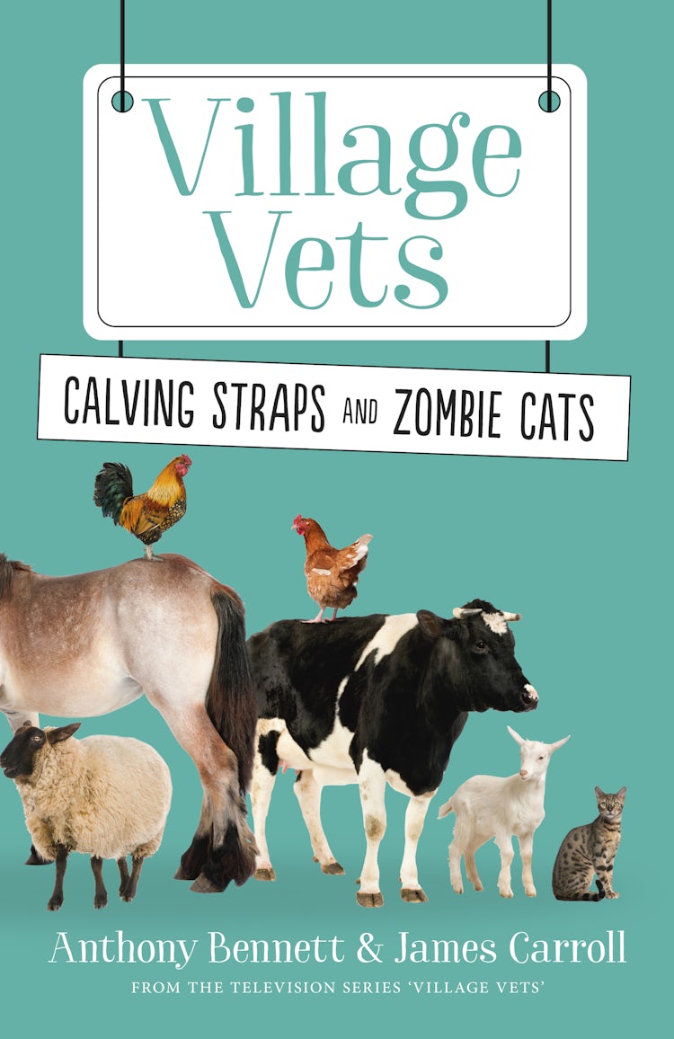 Cover image for Calving Straps and Zombie Cats, isbn: 9780733334191