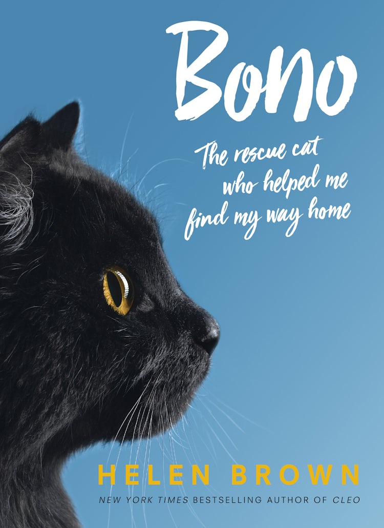 Cover image for Bono, isbn: 9780733338045