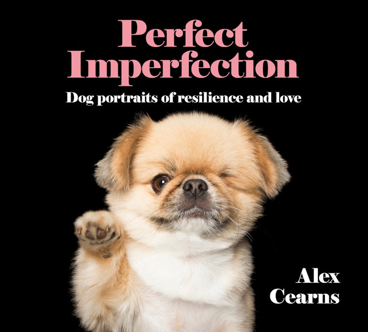 Cover image for Perfect Imperfection, isbn: 9780733339189