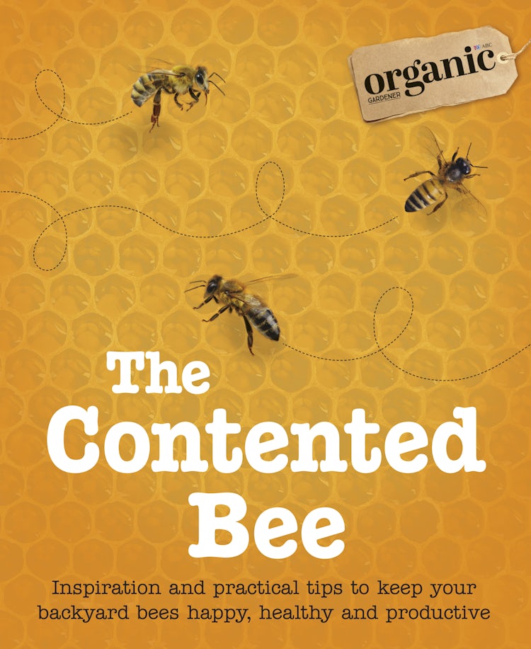 Cover image for The Contented Bee, isbn: 9780733339387