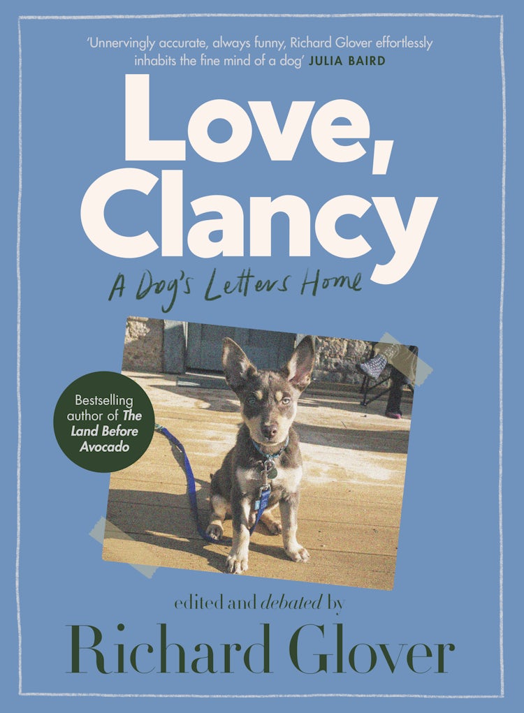 Cover image for Love, Clancy, isbn: 9780733341069