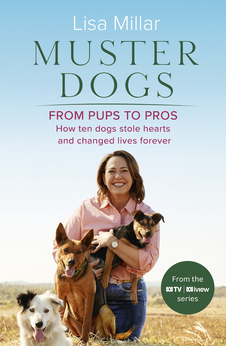 Cover image for Muster Dogs From Pups to Pros: A new companion book to the heartwarming show for fans of Back Roads and The Flying Vet, isbn: 9780733343094
