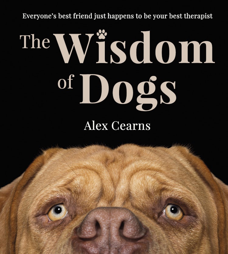 Cover image for The Wisdom Of Dogs: The adorable and funny new book from the photographer behind the bestselling QUOKKA'S GUIDE TO HAPPINESS and ZEN DOGS, isbn: 9780733343506