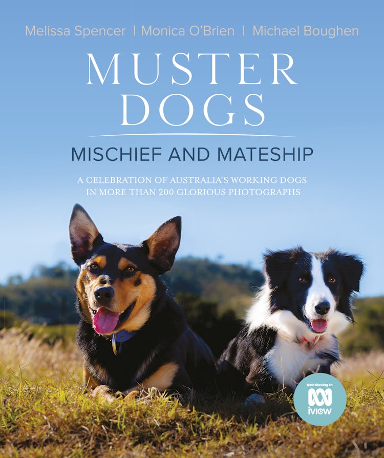 Cover image for Muster Dogs: Mischief and Mateship: a charming companion picture book to the upcoming ABC television special Where Are They Now, for fans of THE FLYING VET and BACK ROADS, isbn: 9780733343568