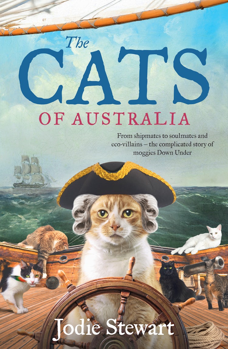 Cover image for The Cats of Australia, isbn: 9780733343957