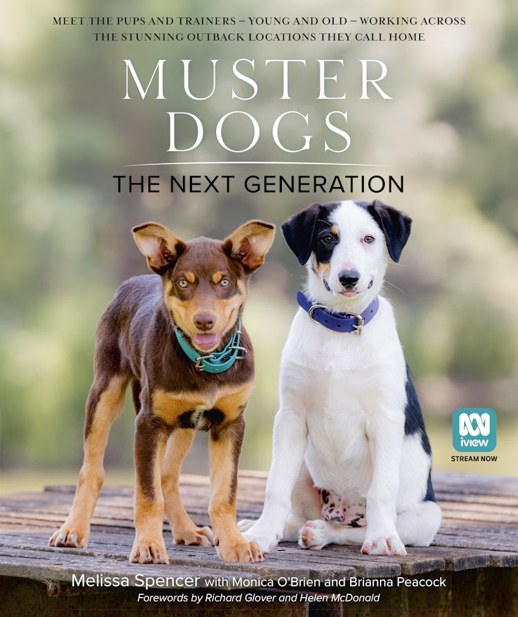 Cover image for Muster Dogs: The Next Generation: The new 2025 companion picture book for animal lovers and fans of the ABC television series, isbn: 9780733344268