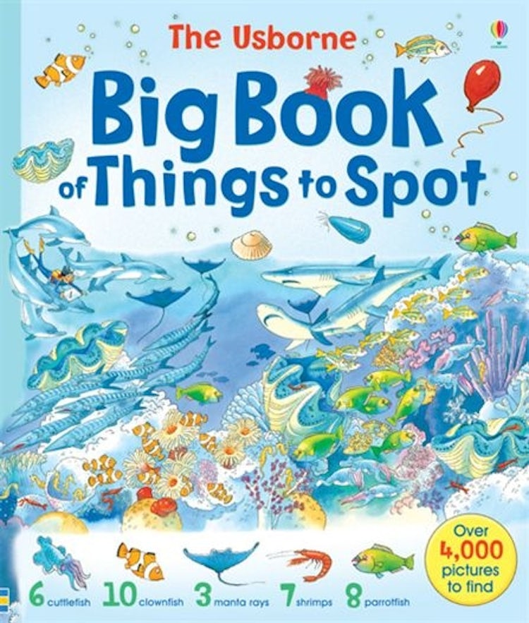 Cover image for Big Book of Things to Spot, isbn: 9780746053010