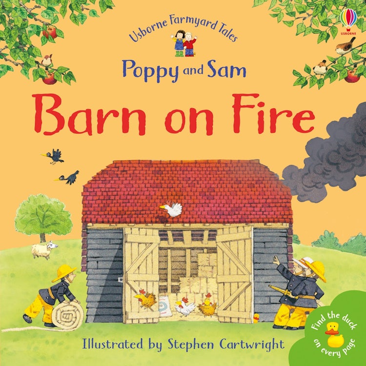 Cover image for Barn On Fire, isbn: 9780746063200