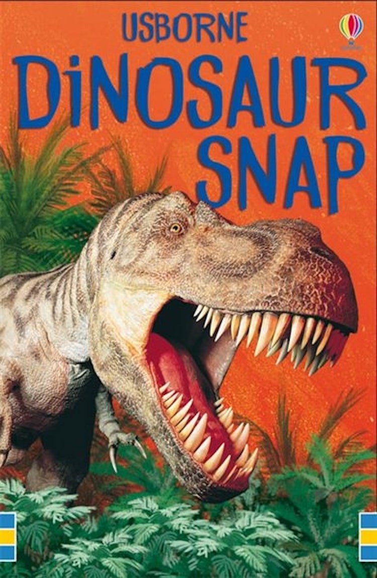 Cover image for Dinosaur Snap, isbn: 9780746064139