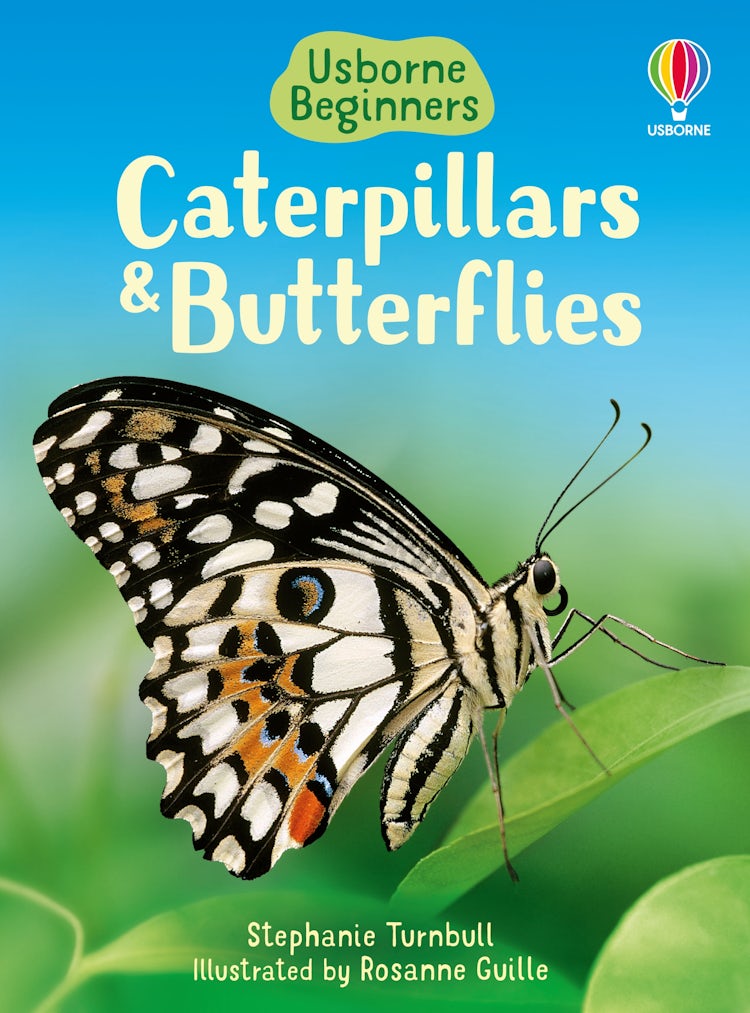Cover image for Caterpillars and Butterflies, isbn: 9780746074473