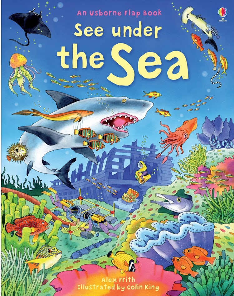 Cover image for See Under the Sea, isbn: 9780746096383