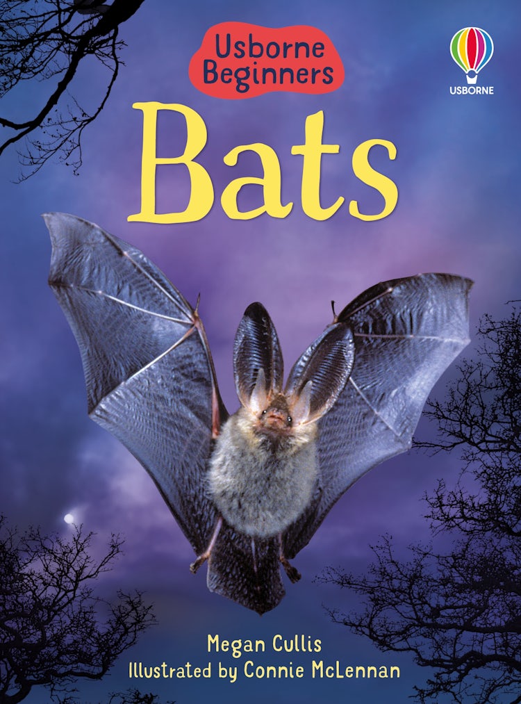 Cover image for Bats, isbn: 9780746099650