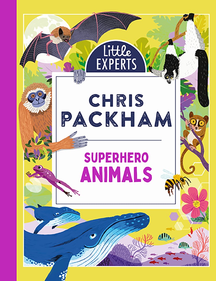 Cover image for Superhero Animals: Little Experts, isbn: 9780755504657