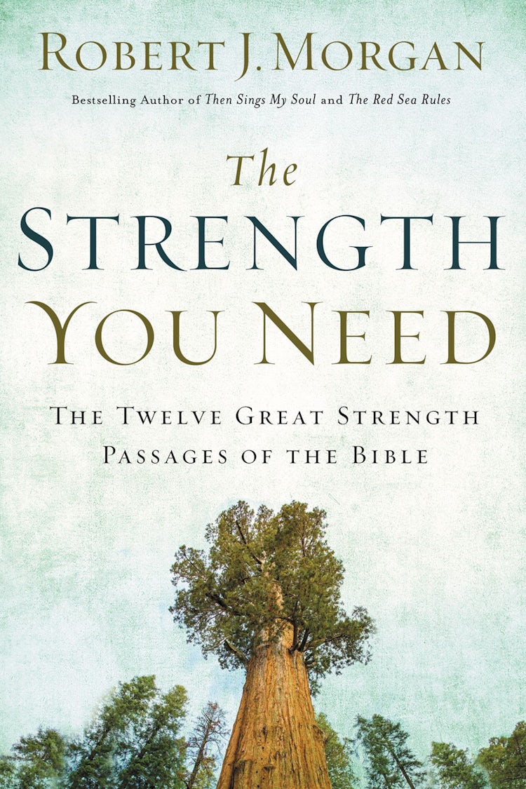 Cover image for The Strength You Need: The Twelve Great Strength Passages Of The Bible, isbn: 9780785216360