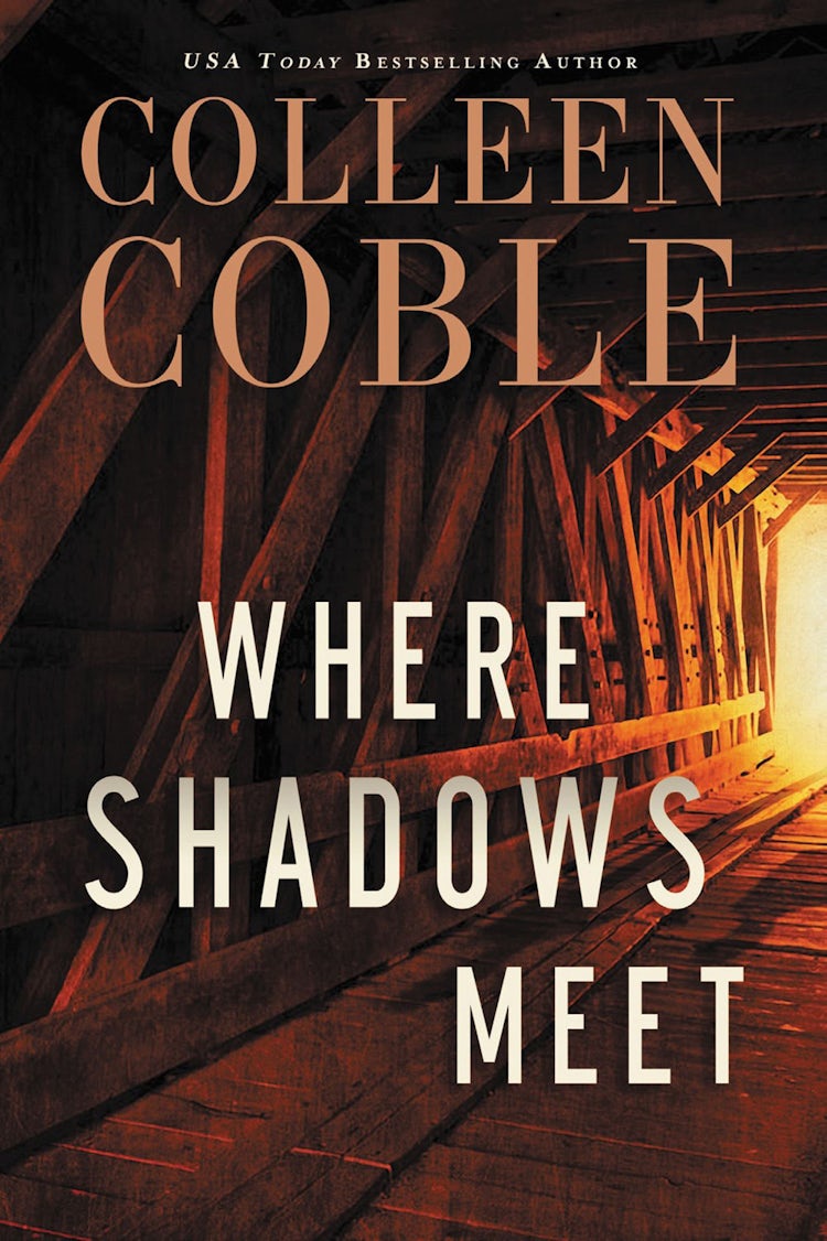 Cover image for Where Shadows Meet, isbn: 9780785216650
