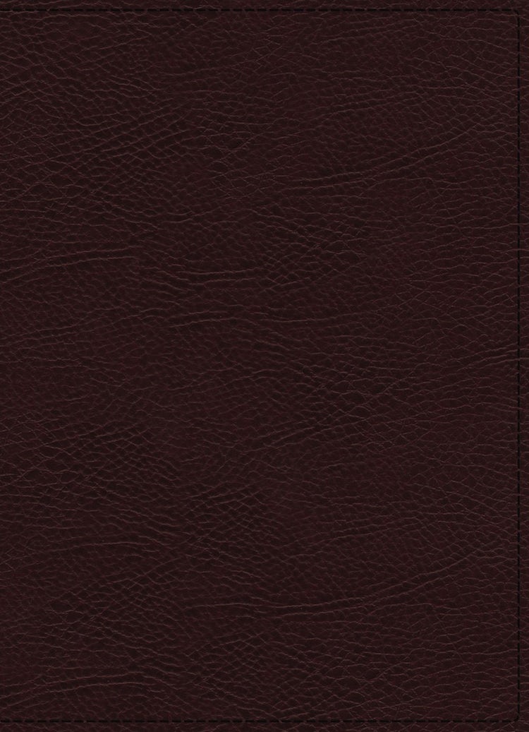 Cover image for NIV Maxwell Leadership Bible [3rd Edition, Burgundy], isbn: 9780785223306
