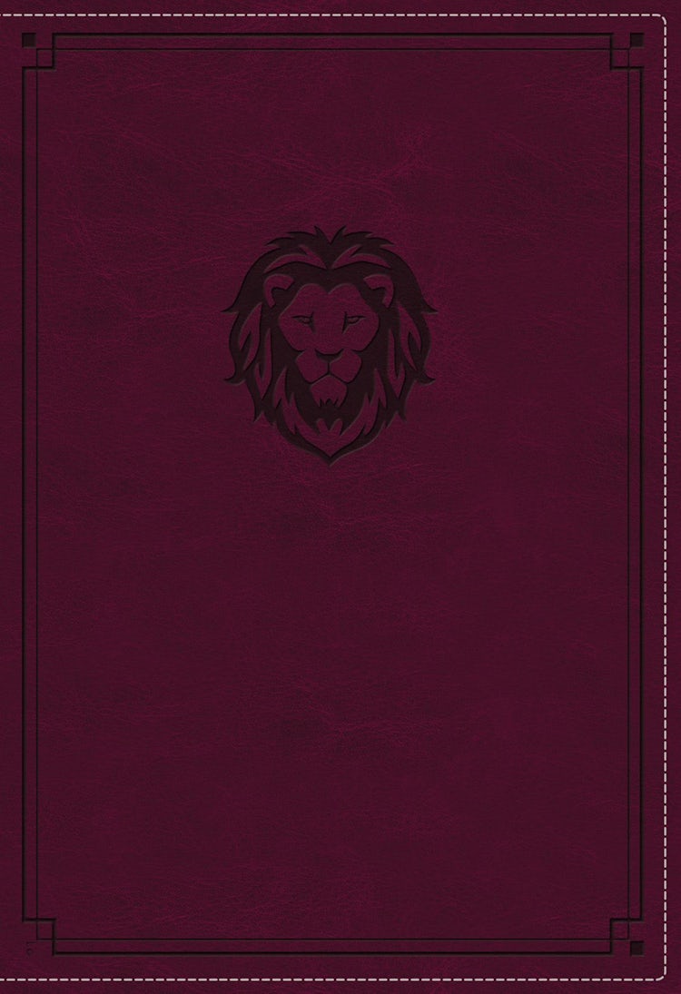 Cover image for NKJV Thinline Bible Youth Red Letter Edition [Burgundy], isbn: 9780785225706