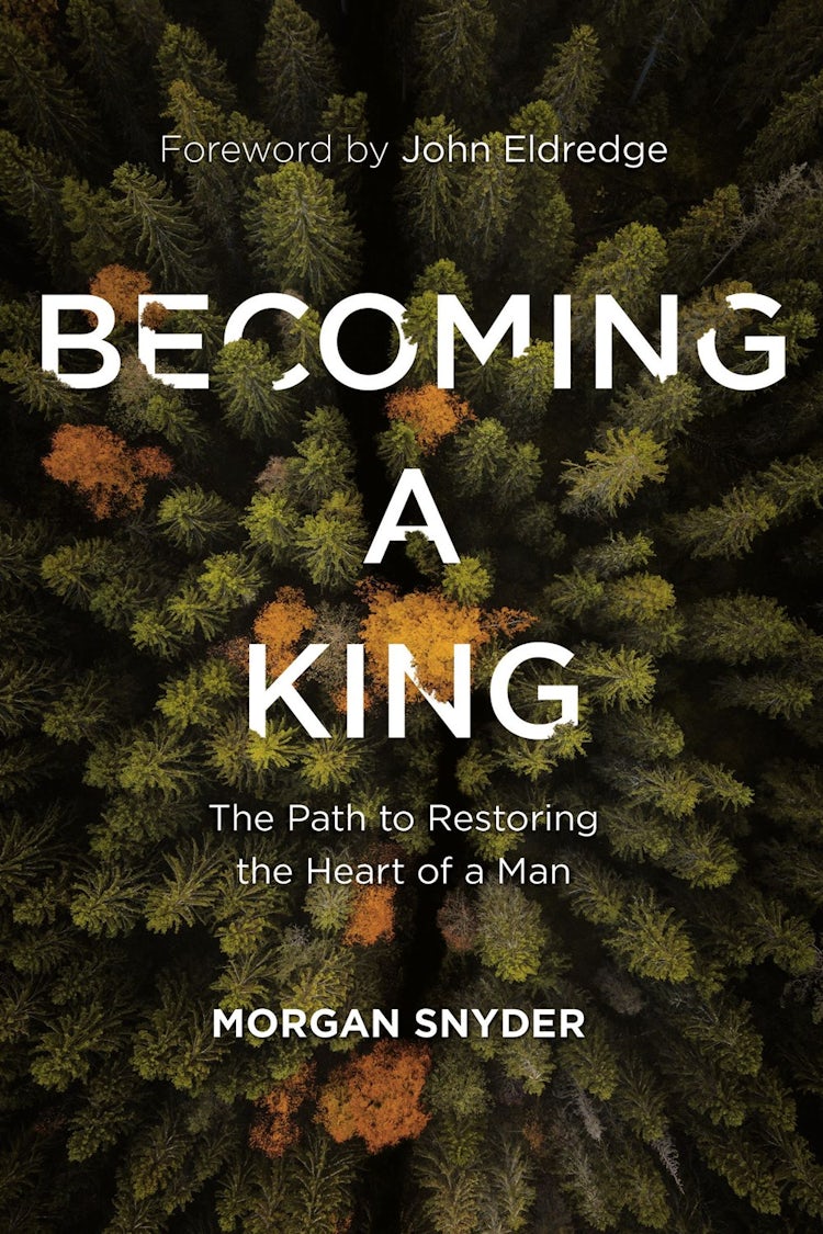 Cover image for Becoming a King: The Path to Restoring the Heart of a Man, isbn: 9780785232117