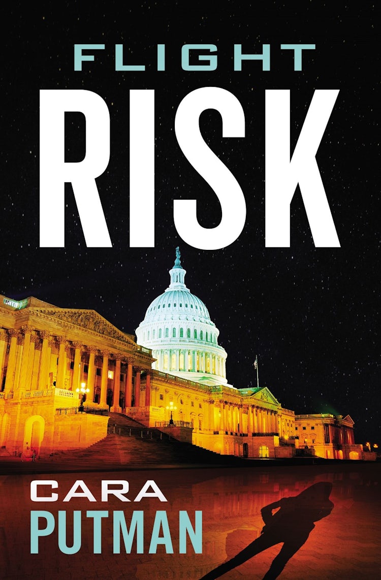 Cover image for Flight Risk, isbn: 9780785233275