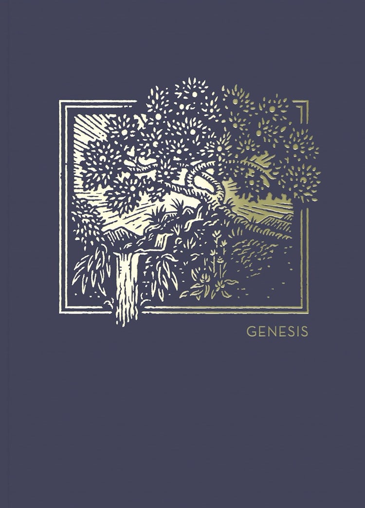 Cover image for NET Abide Bible Journal - Genesis, Paperback, Comfort Print: Holy Bible, isbn: 9780785236917