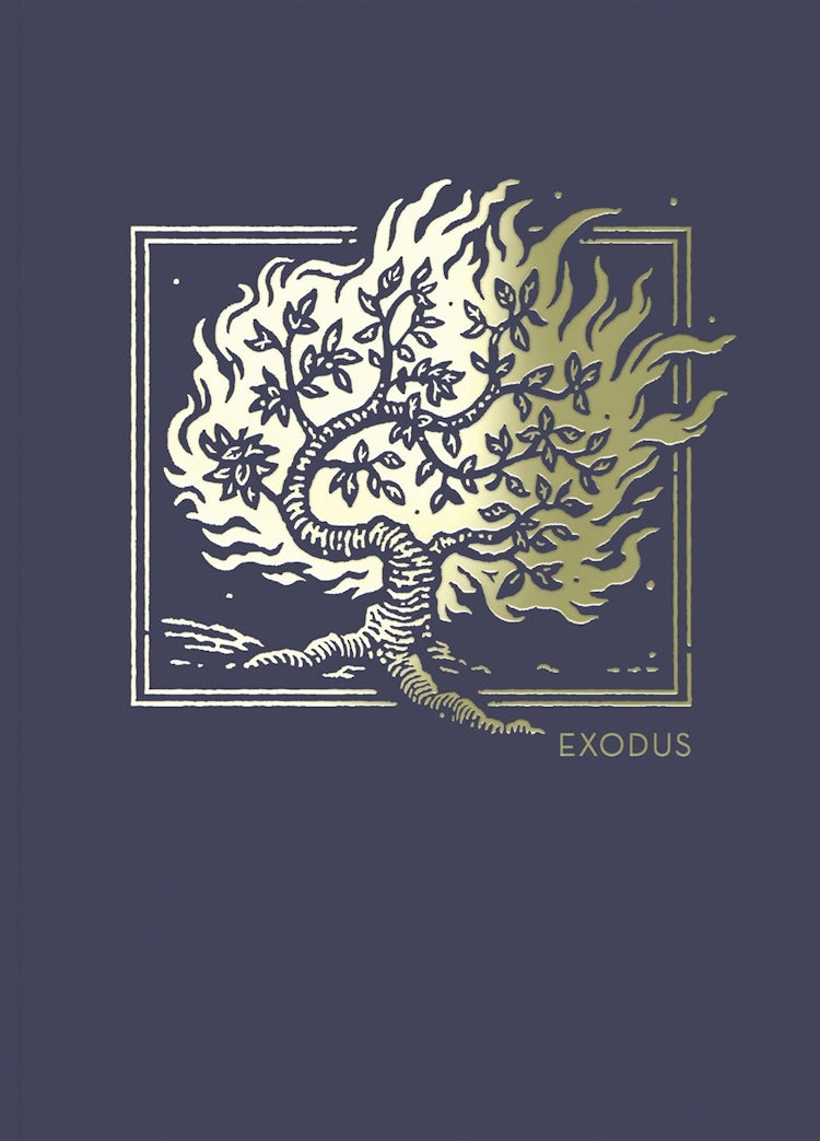 Cover image for NET Abide Bible Journal - Exodus, Paperback, Comfort Print: Holy Bible, isbn: 9780785236924