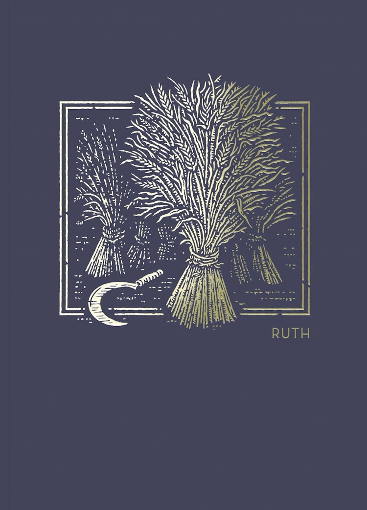 Cover image for NET Abide Bible Journal - Ruth, Paperback, Comfort Print: Holy Bible, isbn: 9780785236993